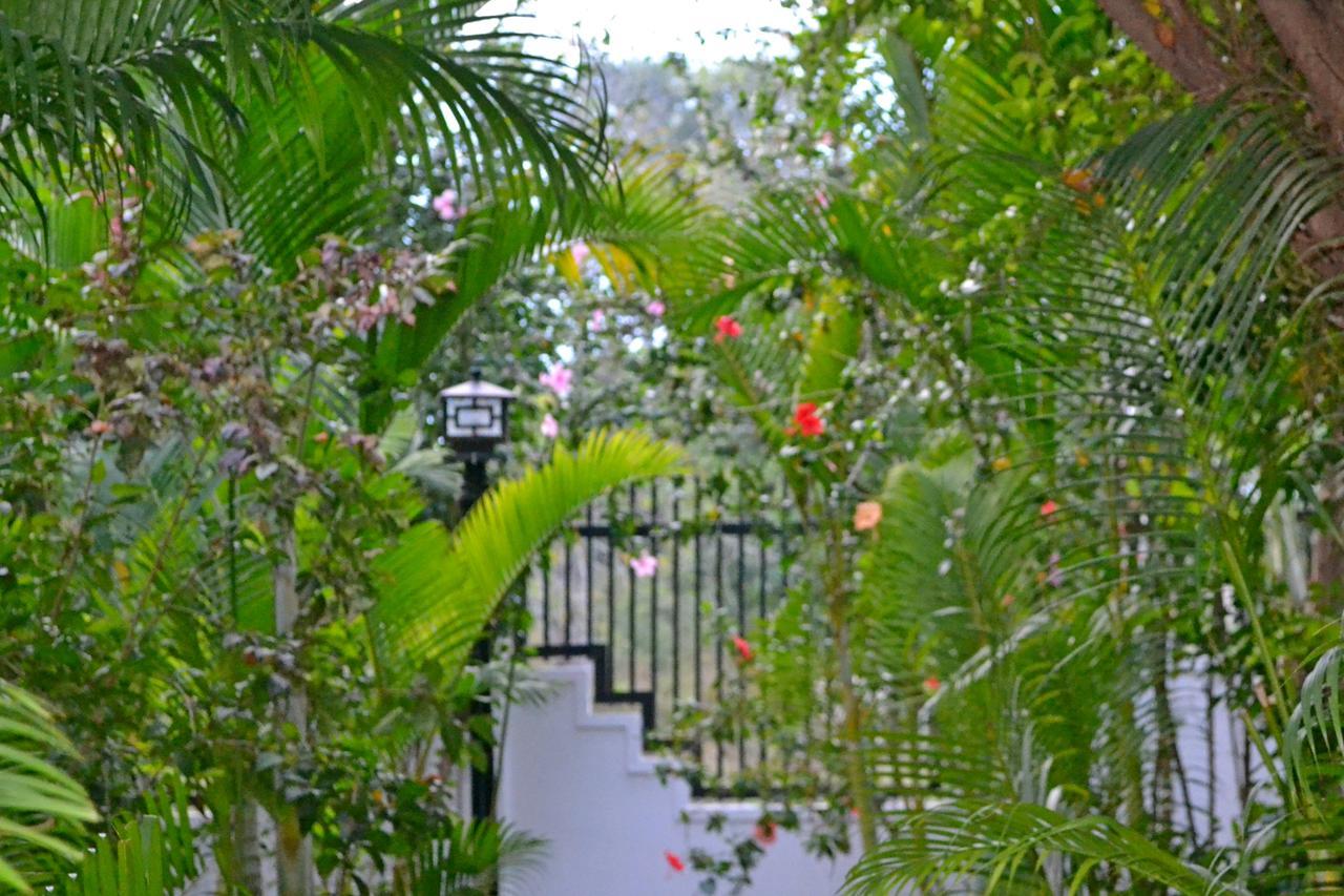 Nature Boutique Residence Сиемрип Экстерьер фото